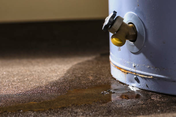 Best Professional water damage repair  in Ocean Ridge, FL