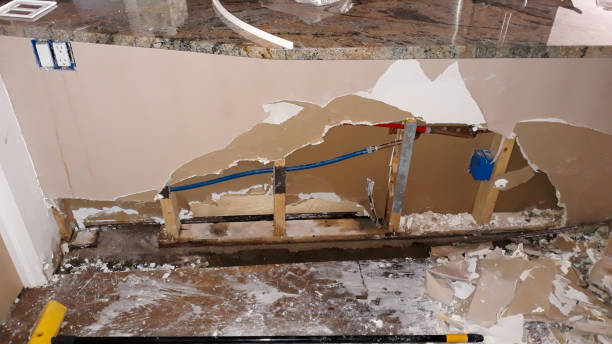Best Mold removal after water damage  in Ocean Ridge, FL
