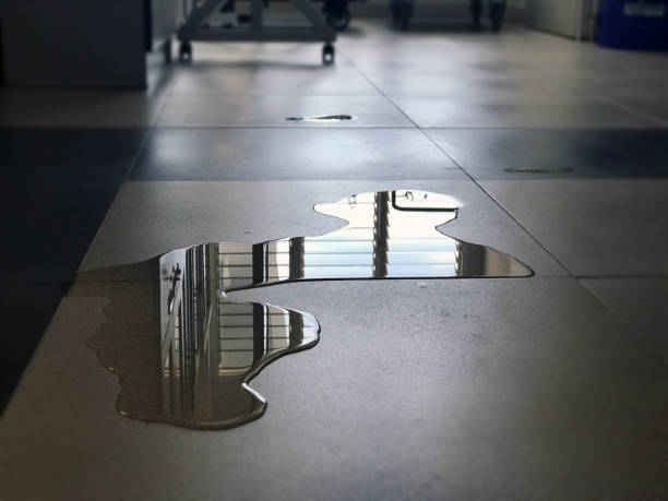 24/7 water damage repair in Ocean Ridge, FL