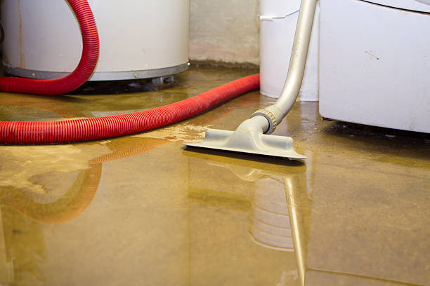 Best Basement water damage restoration  in Ocean Ridge, FL