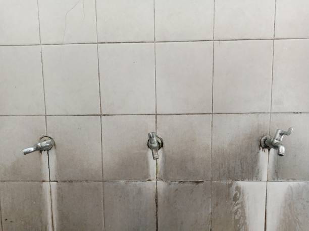 Best 24/7 water damage repair  in Ocean Ridge, FL