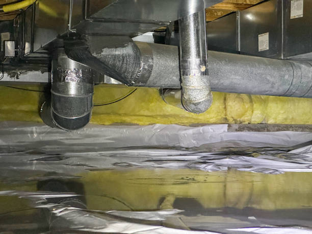 Best Mold removal after water damage  in Ocean Ridge, FL