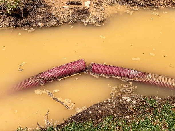 Professional Water damage restoration in Ocean Ridge, FL